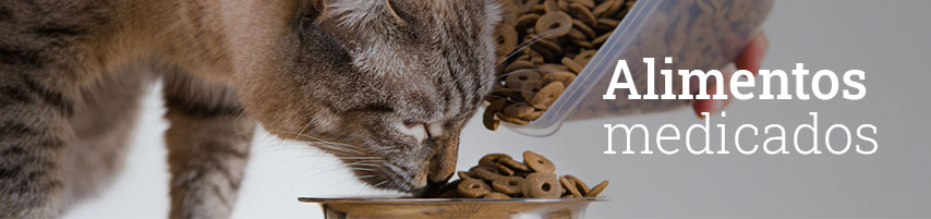 Gatos subcat alimentos medicados