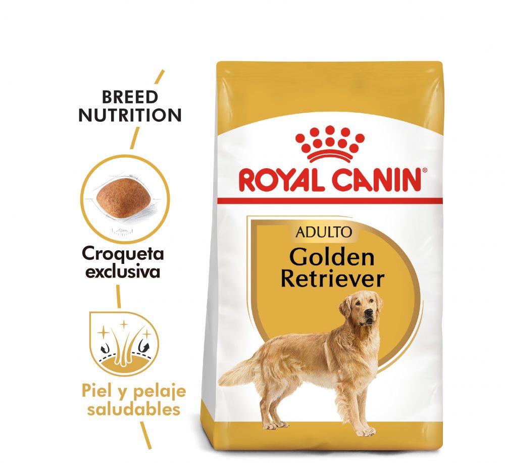 Parcialmente Illinois Tierra Royal Canin Alimento Seco para Perro Golden Retriever Adult | 12kg -  Nutrican
