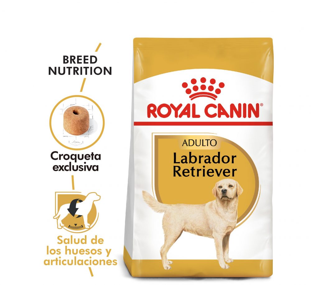 Royal Canin Alimento Seco para Perro Labrador Retriever Adult | 12kg Nutrican