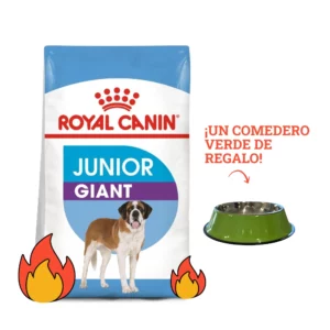 Royal Canin Alimento Seco para Perro Giant junior | 15 Kg