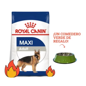 Royal Canin Maxi Adult 15kg